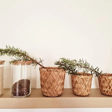 Hébergement de vacances Vinacacia *